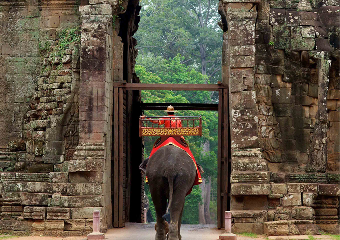 a-cambodian-staff-member-passes-through-the-angkor-gate-with-an-elephant