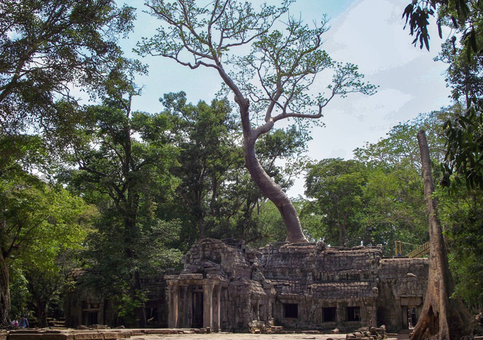 ta-prohm-temple