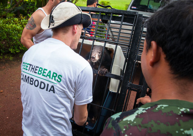 free-the-bears-in-phnom-penh