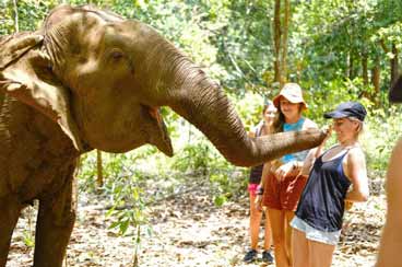 INT-C-DC17 17 Days In-depth Cambodia Tour with Animal Encounters