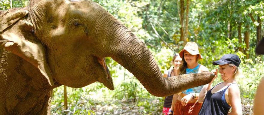 INT-C-DC17 17 Days In-depth Cambodia Tour with Animal Encounters