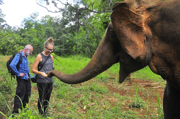 INT-C-DC17 17 Days In-depth Cambodia Tour with Animal Encounters