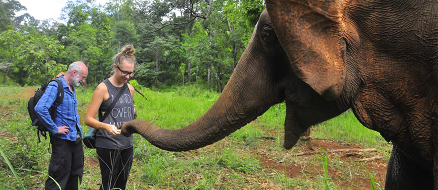 INT-C-DC17 17 Days In-depth Cambodia Tour with Animal Encounters