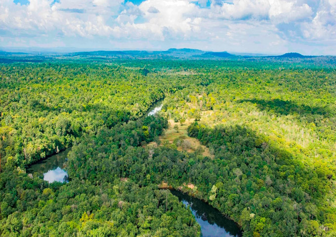 Distant panoramic view of dense green trees in Koh Kong Jungle