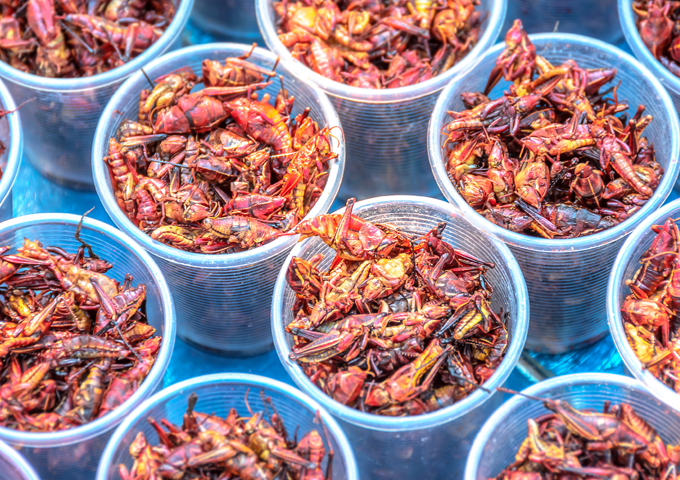 Chili Fried Insects