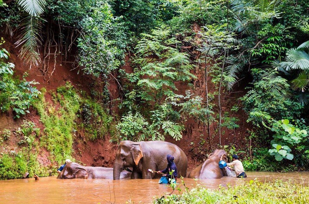 indochinatour-clients