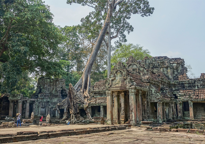 a-high-tree-stuck-right-in-the-ta-prohm-temple