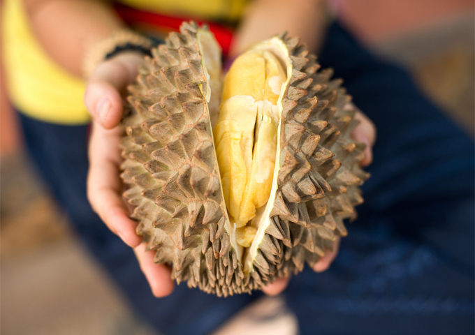 durian