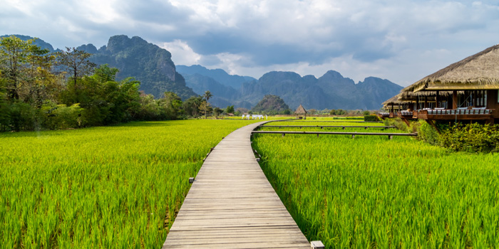 Laos green season countryside