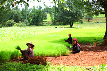 INT-M-OBT13 13 Days Myanmar Tour Off the Beaten Track
