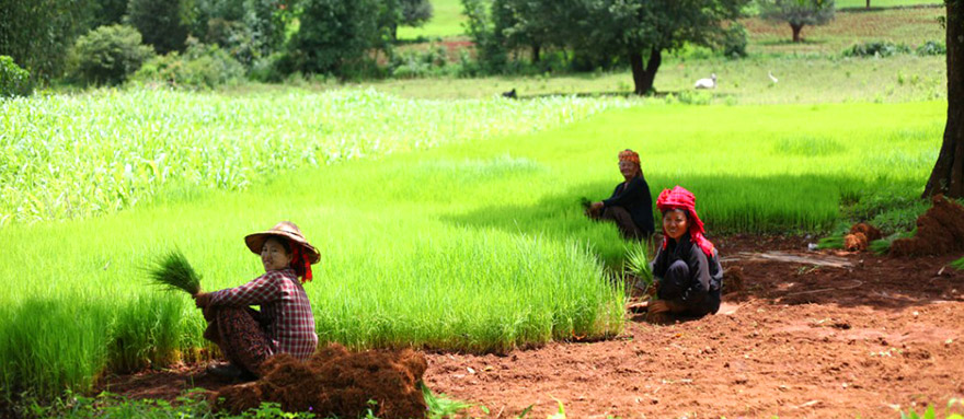 INT-M-OBT13 13 Days Myanmar Tour Off the Beaten Track