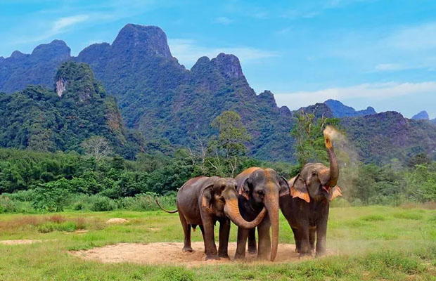 Thailand tour
