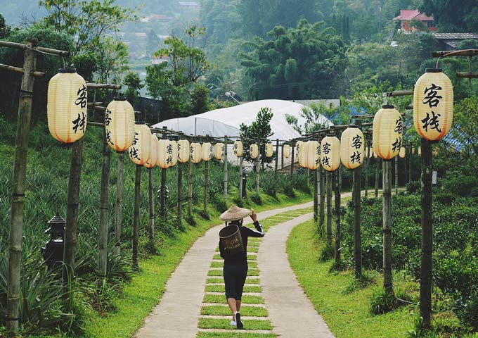 Thailand Countryside