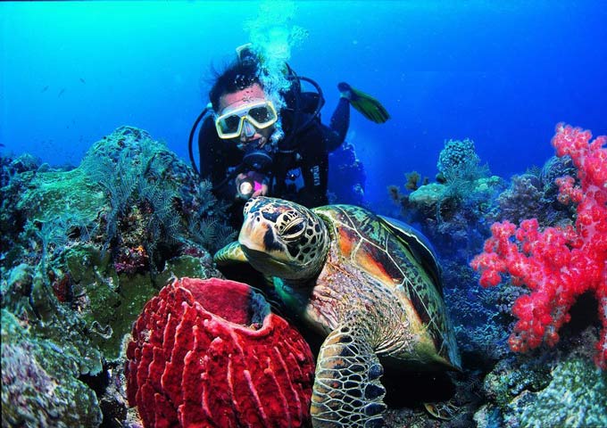 Snorkeling in Thailand