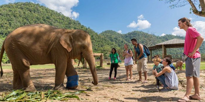 chiang-mai-family-travel