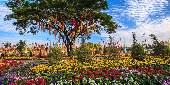 chiang-mai-flower-festival