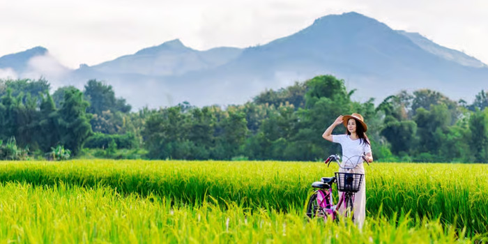 chiang-mai-green-season-countryside