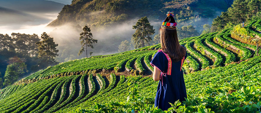 INT-TVC-TVCT14 14 days Vietnam, Cambodia and Thailand Tour