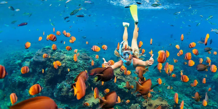 Clear Water for Snorkeling in Thailand