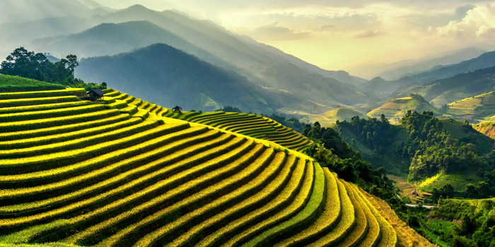 terraced-fields-in-northern-vietnam-in-may