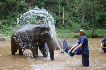 INT-TV-TV10 10 Days Bangkok to Saigon Relaxing Tour
