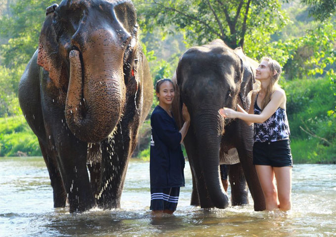 Chiang Mai Elephant nature park
