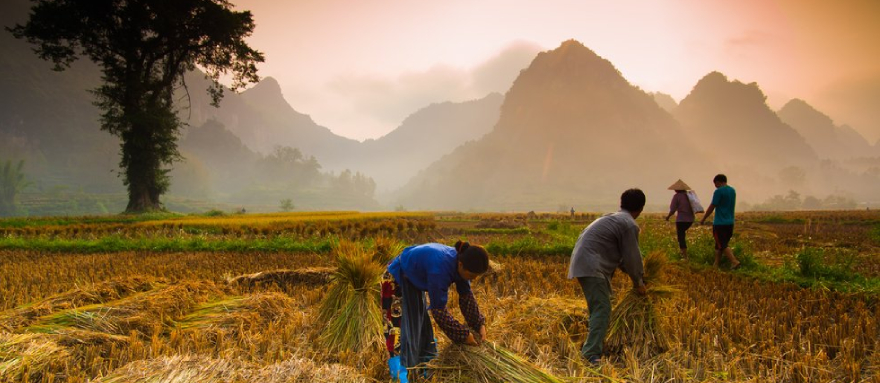 INT-V-HBA7 7 Days North Vietnam Trekking Adventure with Iconic Quan Ba