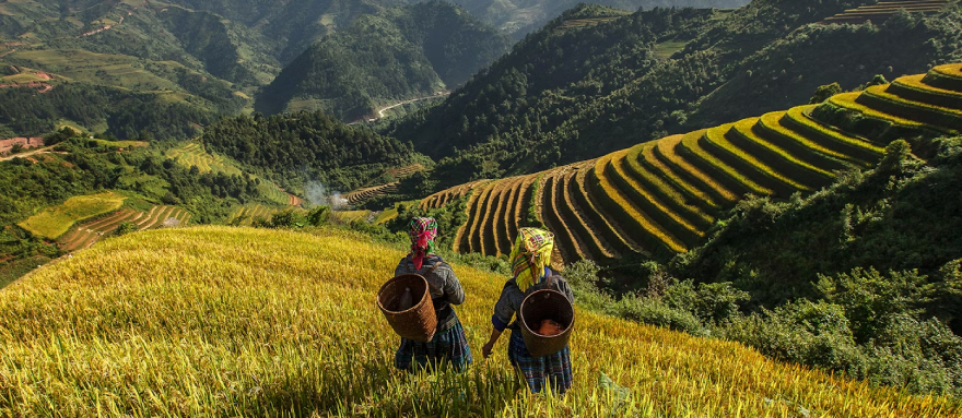 INT-V-HPS17 17 Days Vietnam Adventure Tour from North to South
