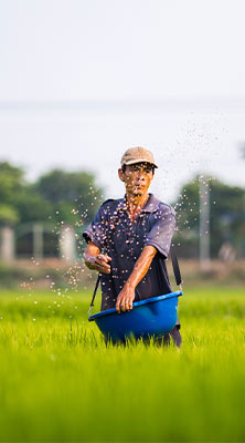 Is Vietnam Safer than Thailand
