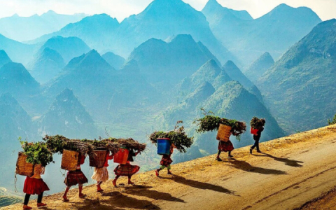 Vietnam and Cambodia Tours 2025/2026: Best Escorted Tours to Vietnam and Cambodia