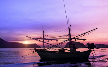 Myanmar Tour