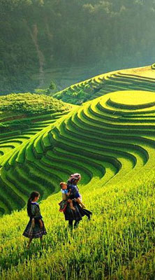 Vietnam Trekking