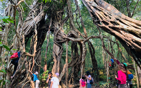 Cambodia Tour with Cambodian Local Travel Agency