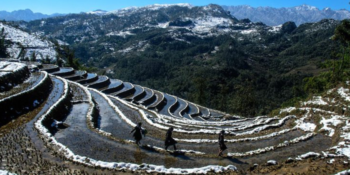 sapa-winter-snow-scenery