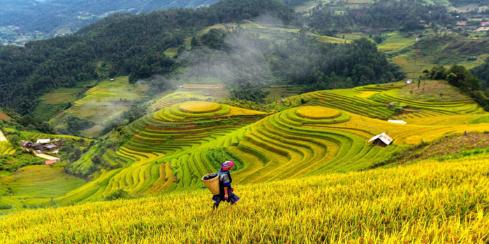 Vietnam Sapa tour in August