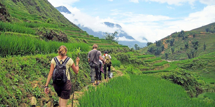 Sapa trekking tour
