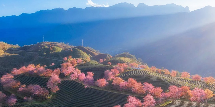 Vietnam Sapa tour in February