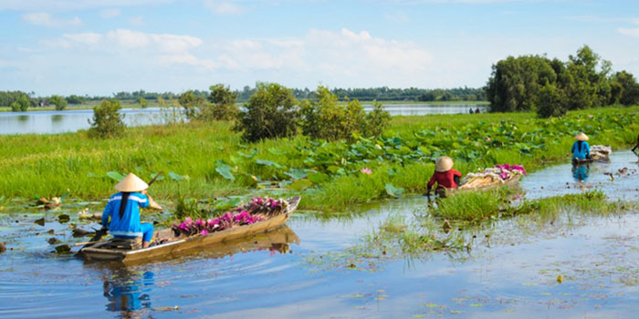 The Mekong Delta