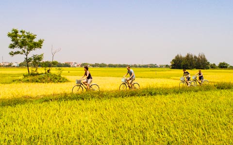 Vietnam Cycling Tour, Vietnam Bike/Motorbike Tour