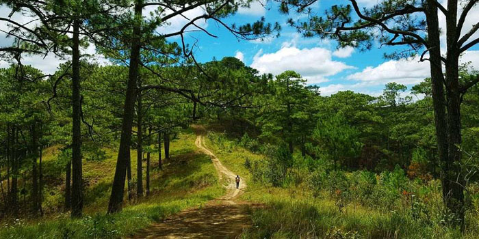Dalat Bidoup National Park
