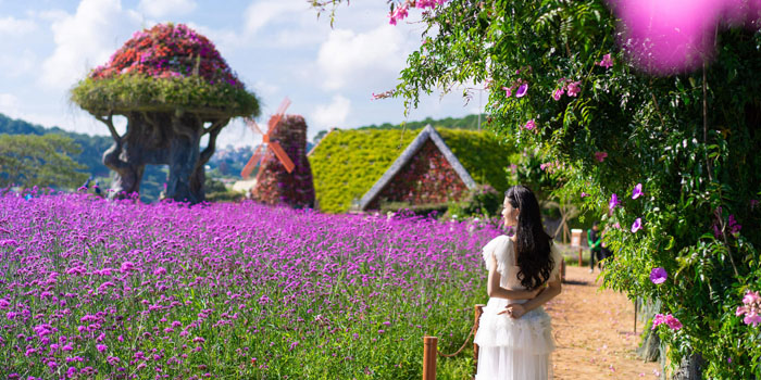 The Dalat Flower Gardens