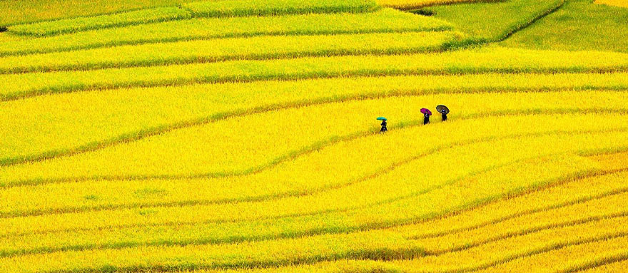 INT-TVC-TVC14  14 Days Best of Vietnam Cambodia Thailand Tour Package - 更新