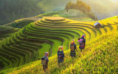 How to Get to Sapa from Hanoi in the Most Convenient and Cheapest Way 2024?