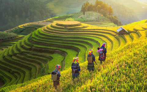 How to Get to Sapa from Hanoi: the Most Convenient and Cheapest Way in 2024?