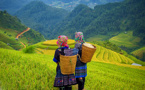 The Most Complete Guide on Vietnam Sapa Trekking Tour in 2024