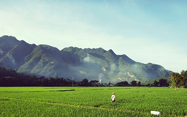 Vietnam Cambodia 
Myanmar Tours