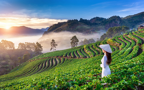 thailand Vietnam Laos Myanmar