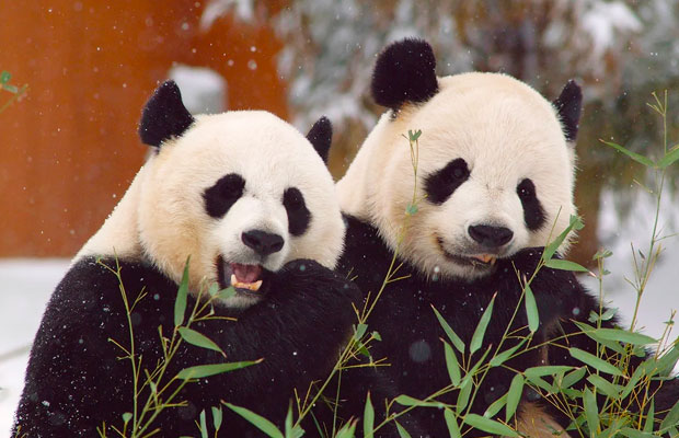 15 Days Adventure and Discovery in China and Vietnam