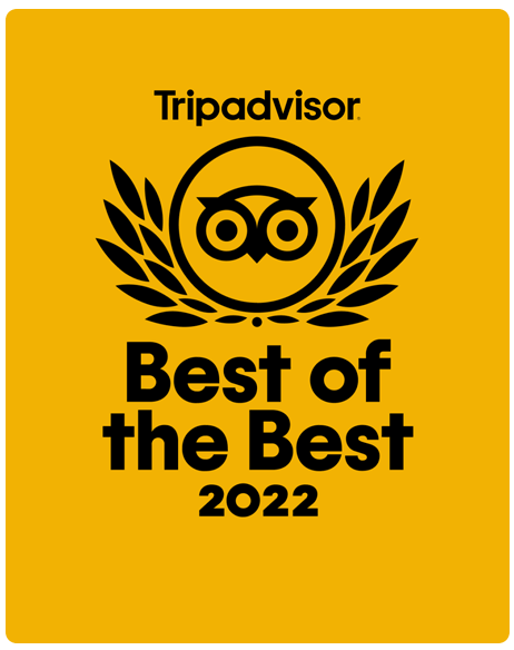 tripadvisor review