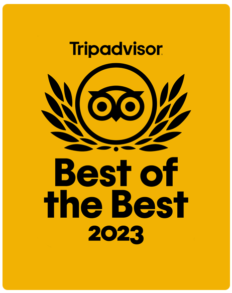 tripadvisor review
